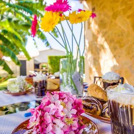 Ideal Mallorca - Es Puput Country house Petra (Mallorca)